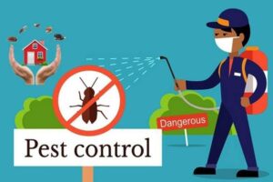 Understanding the Importance of Regular Pest Control for Health and Safety in Urban Indian Homes